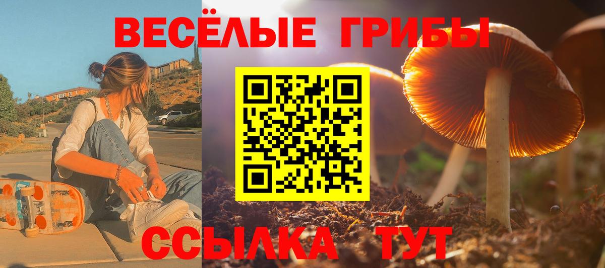Псилоцибиновые грибы мицелий Кыштым